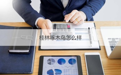 桂林啄木鳥 一家專注電子產(chǎn)品的本地企業(yè)探析