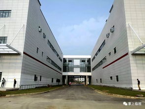 桂林第四寶 華為手機普工招募，五險一金待遇優，40歲也能進廠圓夢